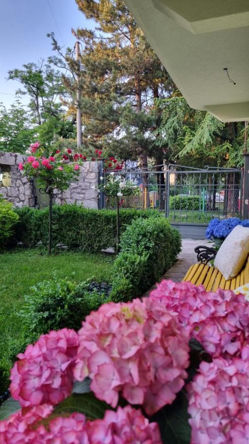 Apartman L&M Cetinje Esterno foto