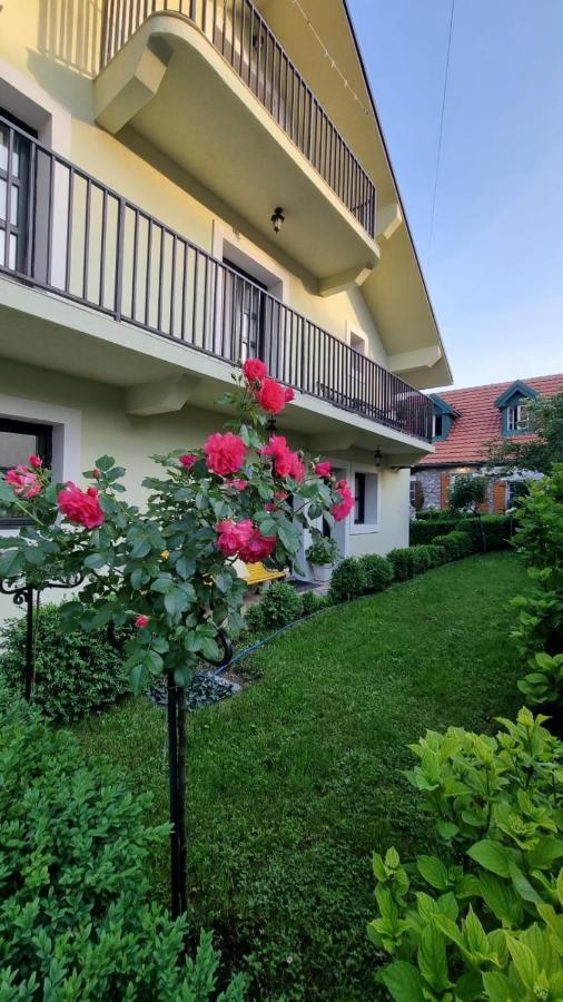 Apartman L&M Cetinje Esterno foto